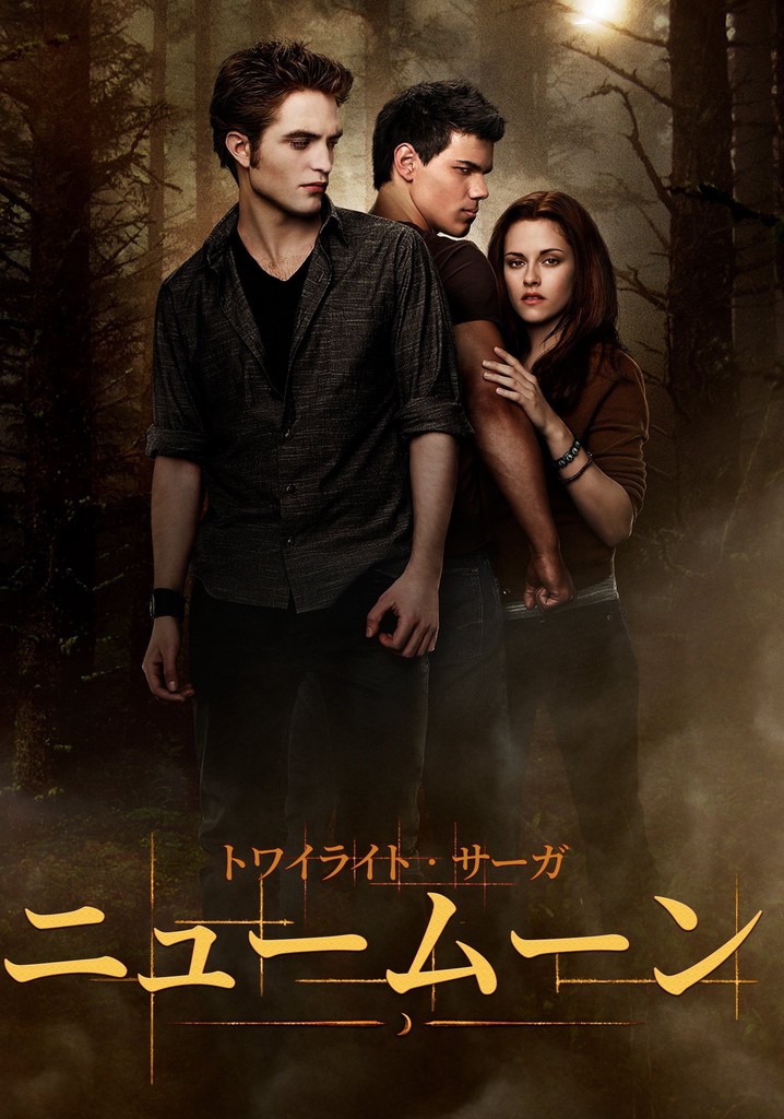 新規購入 Twilight トワイライト econet.bi